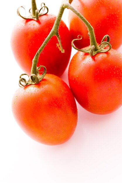 Tomates Roma orgánicos sobre fondo blanco.