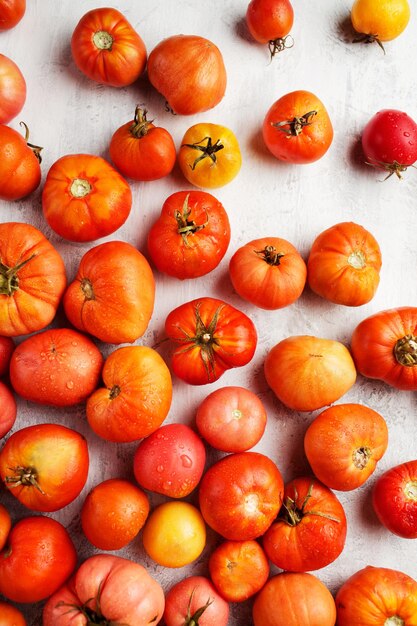 Tomates sobre un fondo blanco Una cosecha fresca de verduras Gotas de agua sobre tomates rojos Orgánico