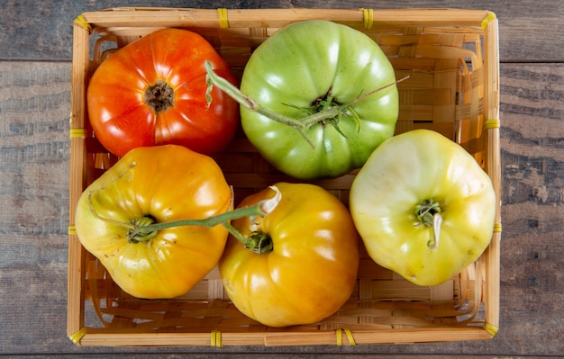 Tomates de ternera en la cesta