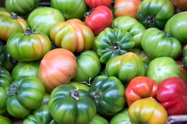 Tomates para la venta en puesto en el mercado