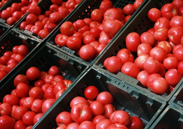 Tomates a la venta en una tienda