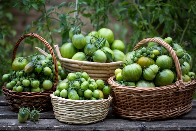 Tomates verdes en cestas