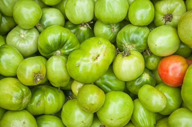 Tomates verdes de cor verde