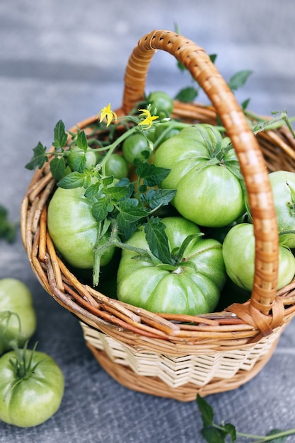 Tomates verdes e verdes em uma pequena cesta