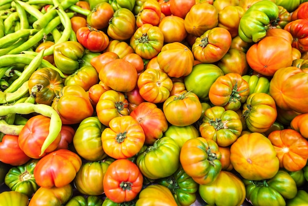 Tomates verdes e vermelhos