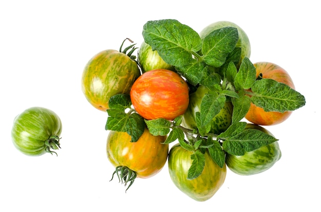 Tomates verdes y maduros con piel rayada.