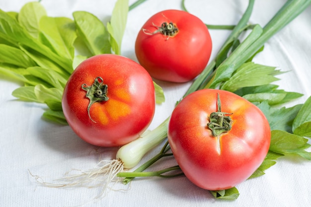 Tomates y verduras sobre un fondo blanco.