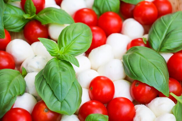 Tomates vermelhos com manjericão para um lanche