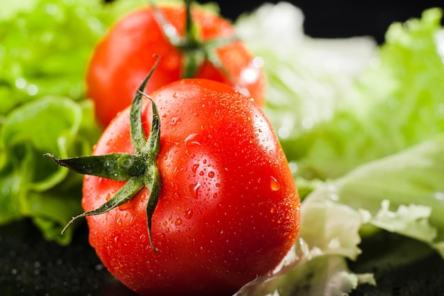 Tomates vermelhos deliciosos e suculentos Salada verde fresca Gotas de água