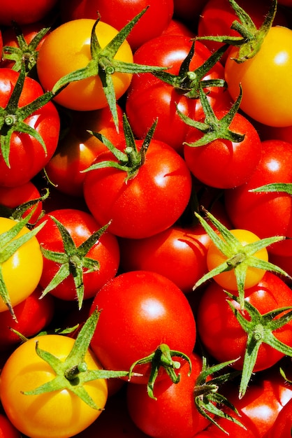 Tomates vermelhos e amarelos