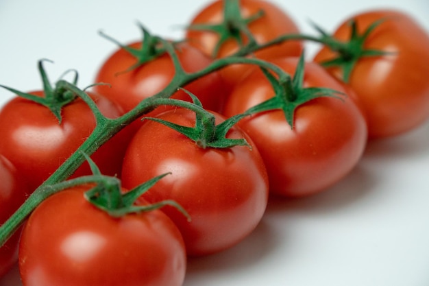 Tomates vermelhos em galho sobre um fundo branco