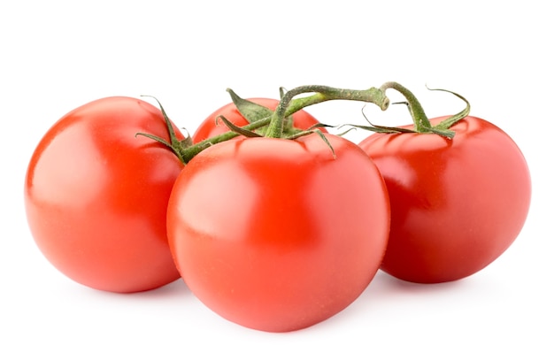 Tomates vermelhos em um galho