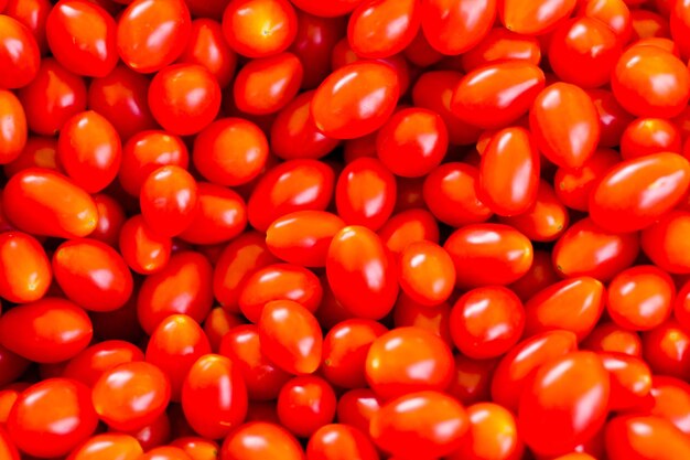 Tomates vermelhos frescos no mercado do fazendeiro local.