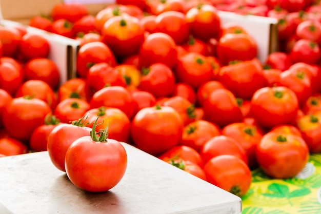 Tomates vermelhos frescos no mercado do fazendeiro local.