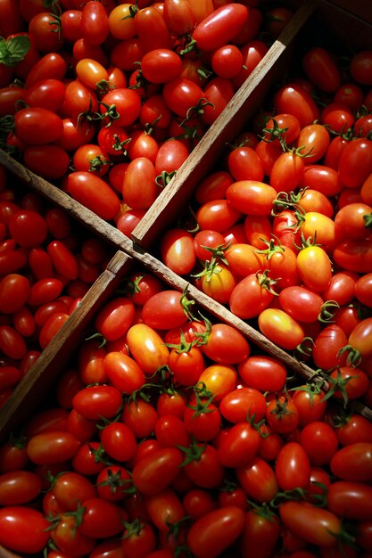 Tomates vermelhos frescos