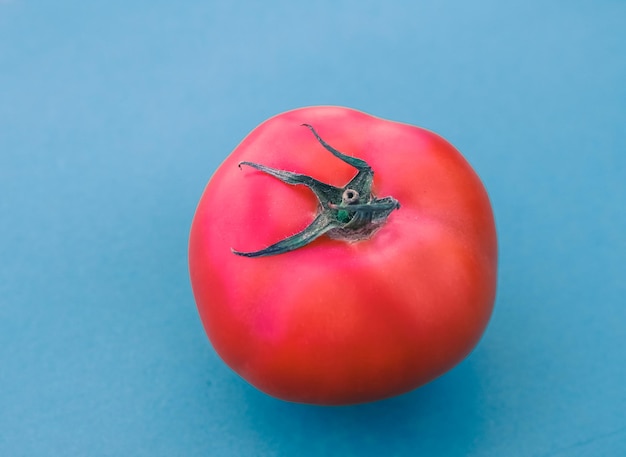 Tomates vermelhos maduros frescos em alimentos vegetais orgânicos de fundo azul