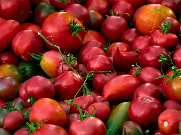 tomates vermelhos maduros.