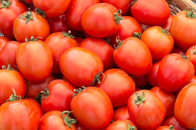 tomates vermelhos