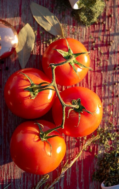 Foto tomates de vid y hierbas y especias secas en la cocina para la preparación de alimentos naturaleza muerta