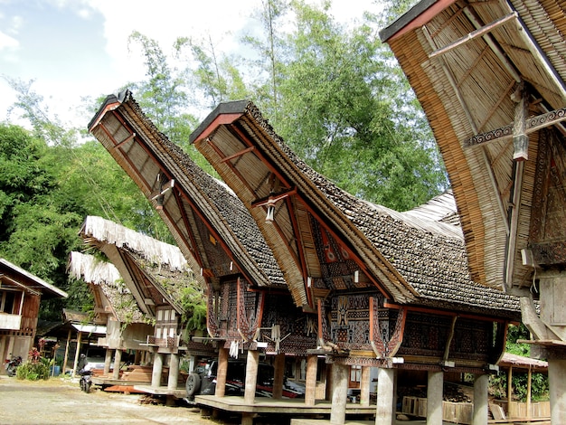 Tongkonan casas na aldeia de Torajan, South Sulawesi