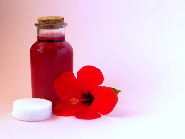 Tônico caseiro para cuidados com a pele de hibisco