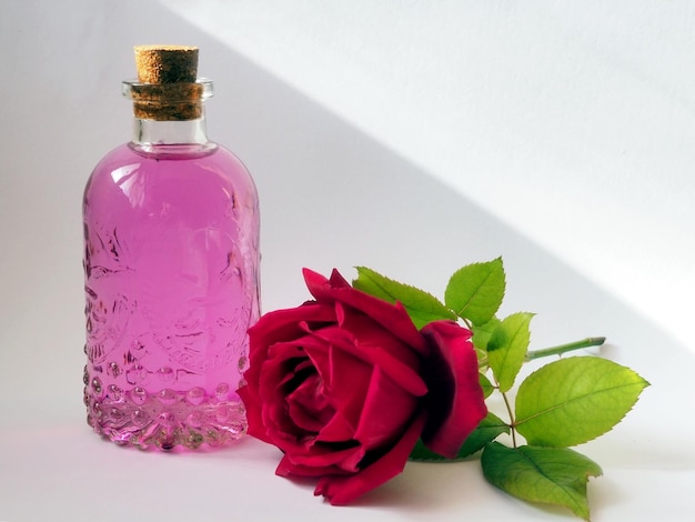 Tônico pétala de rosa para rosto e corpo Água de rosas em garrafa de vidro e rosa vermelha fresca