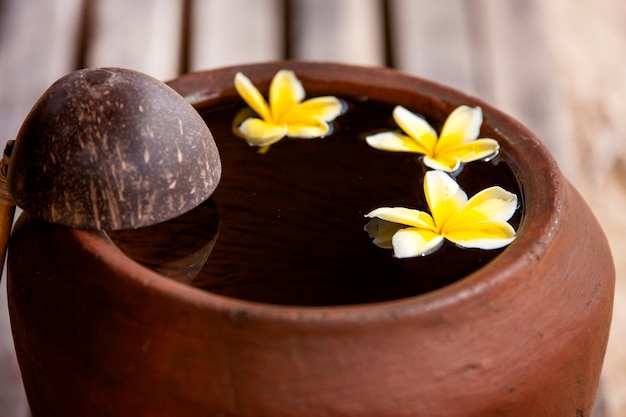 Tonkrug mit Blume Plumeria oder Frangipani dekoriert auf Wasserschale im Zen-Stil für Spa-Meditation ...