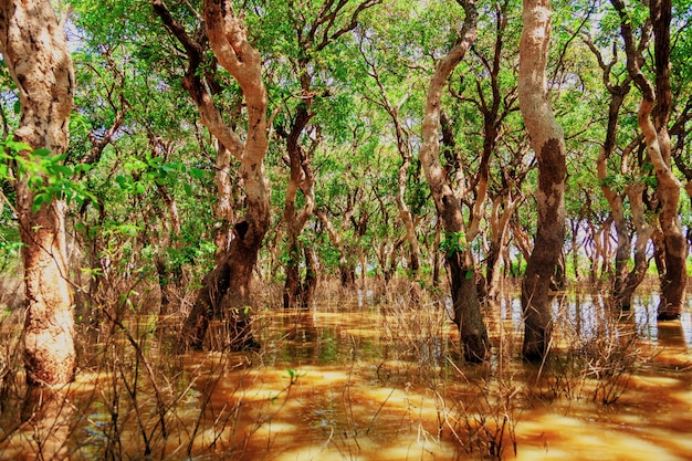 Tonle-Sap-See. Kampong Phluk schwimmendes Fischerdorf während der Dürrezeit. Häuser auf Stelzen, Menschen und Boote. Armes Land. Leben und arbeiten Bewohner Kambodschas auf dem Wasser, in der Nähe von Siem Reap, Kambodscha