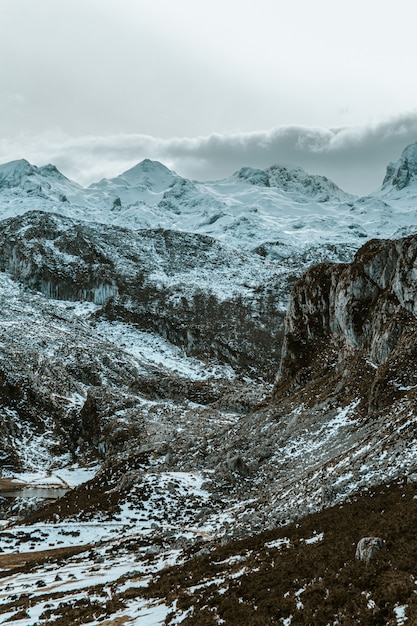 Tonos verdes en las montañas