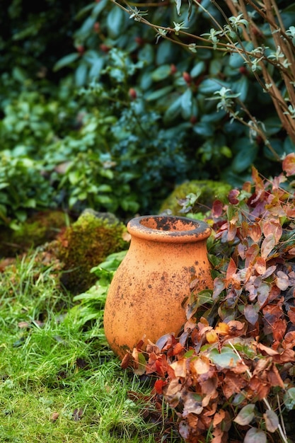 Tontopf in meinem Garten In meinem Garten Krug und Blumentopf