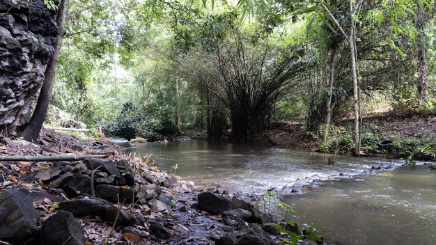 Toob hom doi no rio lampang na tailândia