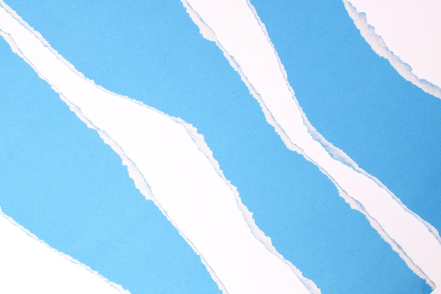 Top-Ansicht des detaillierten realistischen Papierrissen-Designs