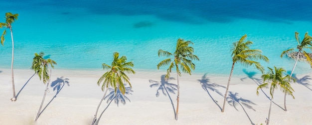 Top Luftdrohne Blick auf den schönen Strand Palmen tropische Küste Lagune Sommernaturlandschaft