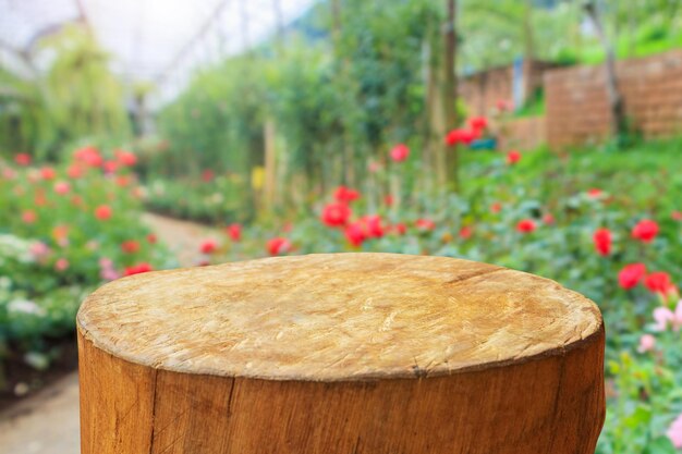 Top de tocón de árbol con fondo borroso de jardín