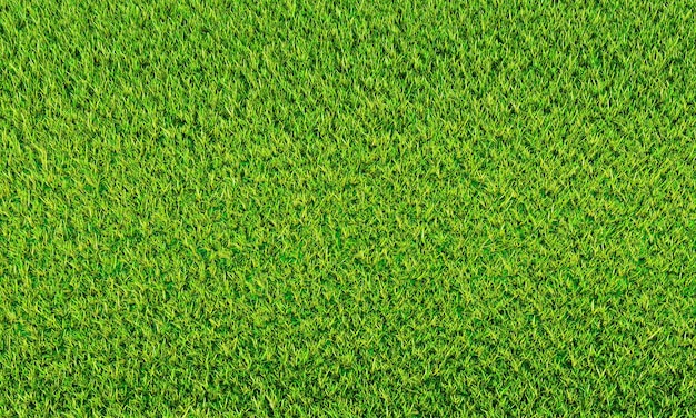 Top-View Frischgrüner Rasen Für Fußball- und Fußballfelder oder Golfplätze Für Hintergrund- oder Tapetengarten