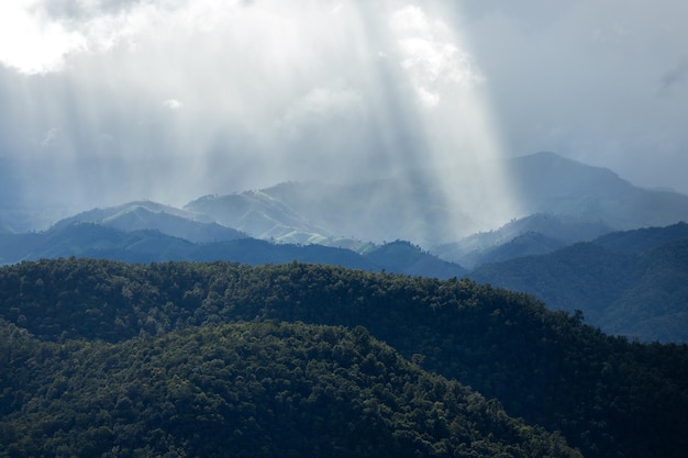 Top-View Landschaft des Morgennebels mit Bergschicht im Norden von Thailand Bergkamm und Wolken im ländlichen Dschungel Buschwald