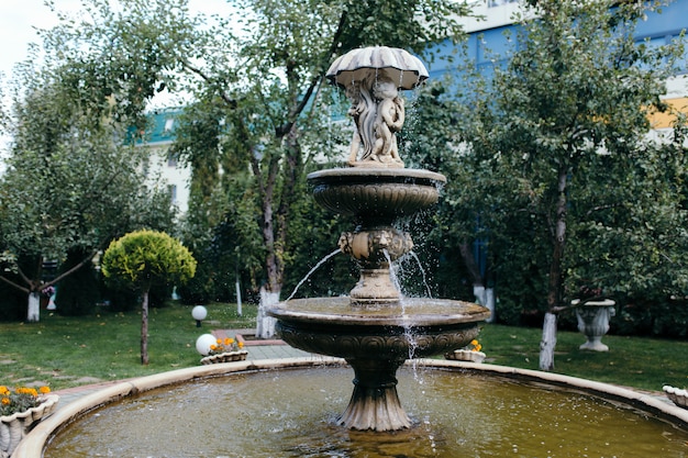 Topf den schönen Brunnen im Garten