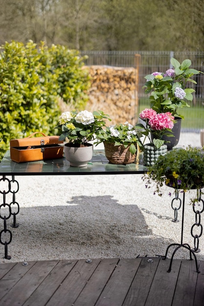 Topfblumen auf dem Tisch im Garten