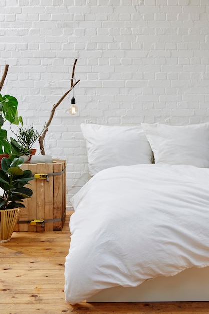Topfpflanze am Bett an der Wand zu Hause