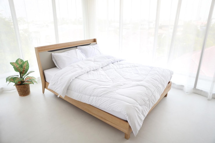 Foto topfpflanze am bett zu hause