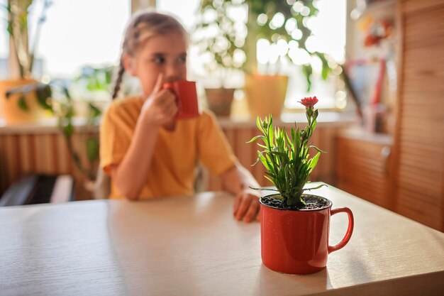 Foto topfpflanze auf dem tisch zu hause