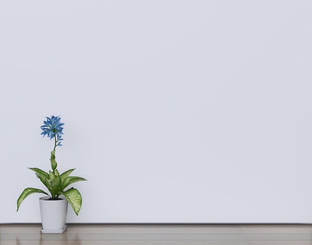 Foto topfpflanze mit blauen blüten im innenraum auf weißem hintergrund