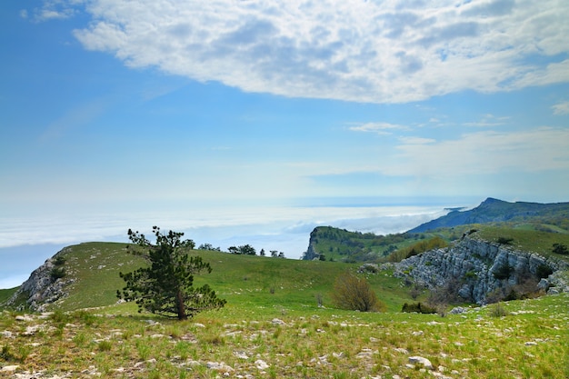 Foto topo da montanha aipetri