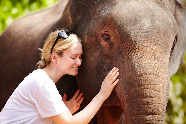 Un toque cariñoso Un joven investigador acaricia suavemente a un elefante asiático cautivo Tailandia