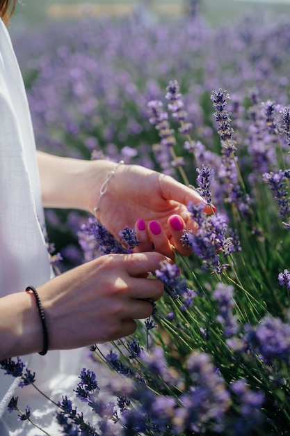 Foto toque de verano. manicura rosa en campo de lavanda.