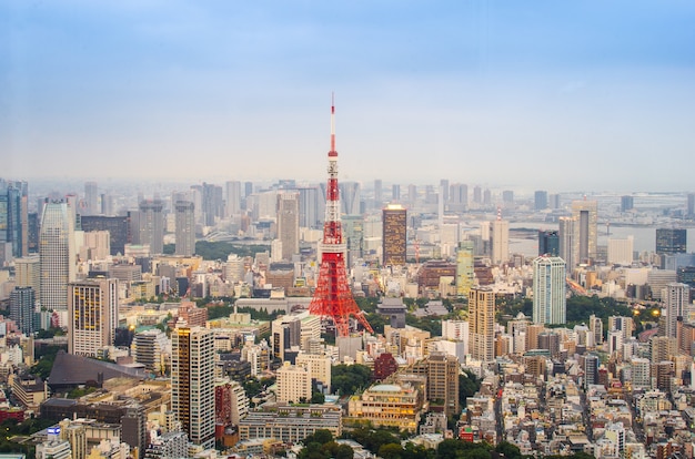 Tóquio, Japão - 19 de outubro de 2016: Marco famoso de torre de Tóquio em Tóquio