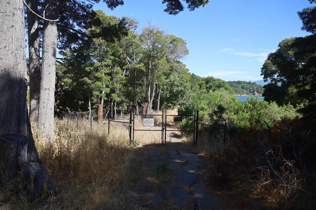 Tor am Crystal Springs Trail in San Mateo, Kalifornien