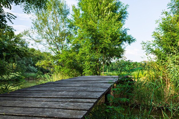 Foto tor zur insel