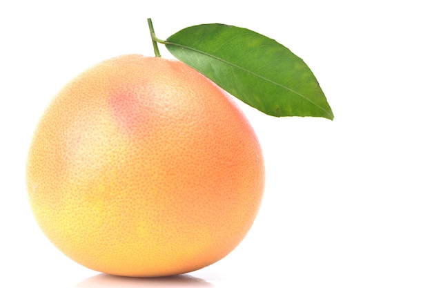 Toranja