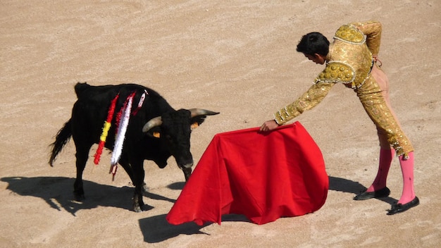 Foto torero con capa roja con toro